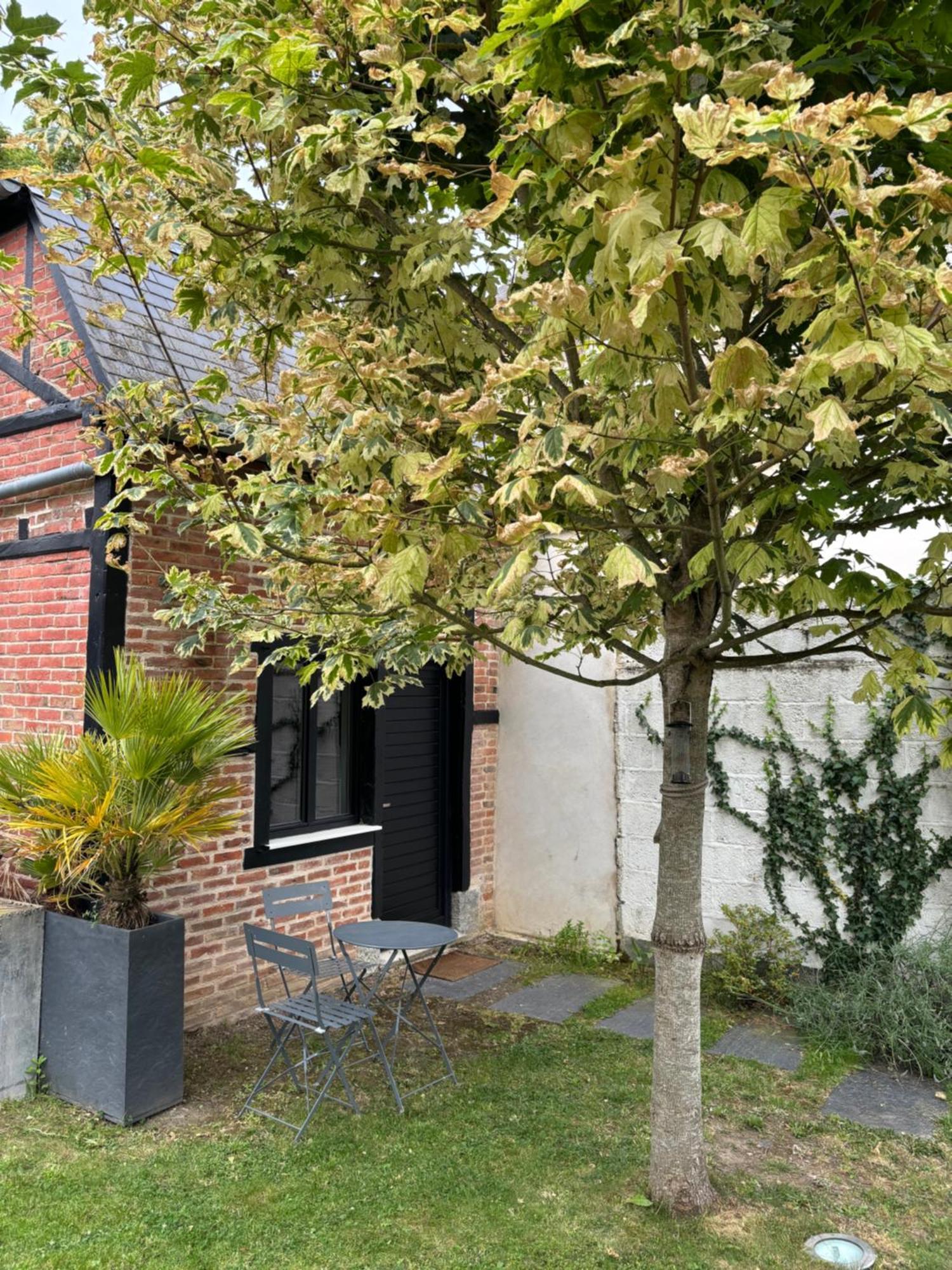 Appartement La Petite Maison Du Thabor Rennes